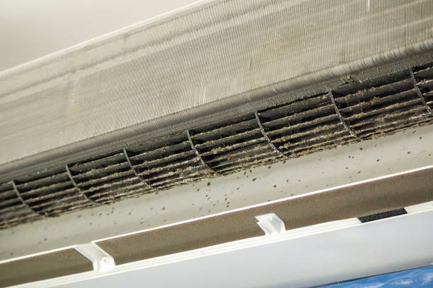Best Ventilation Cleaning Services  in Egon City, OR